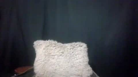 Max online show from 01.04.25