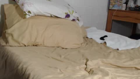 Maxx online show from 11.04.25