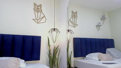 SOFIA online show from 04.18.26