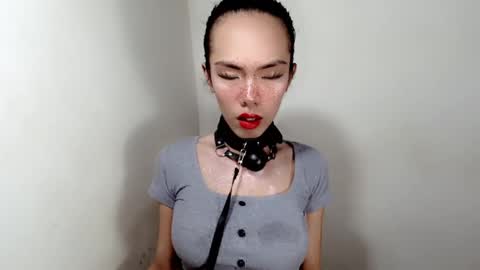 mayamint online show from 11.12.25