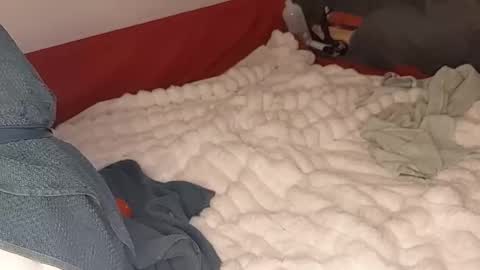 maybeanal online show from 10.12.25