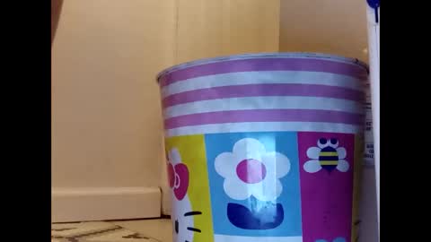 Snapshot of meaderd740870 chatting on 01.23.25 meaderd740870 online show from 01.23.25