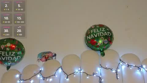 Snapshot of megan_browns1 chatting on 12.26.24 Megan  online show from 12.26.24