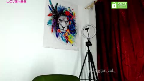 megan_cat online show from 11.11.25