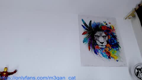 megan_cat online show from 11.25.25