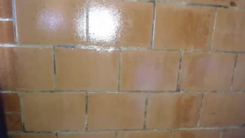 Megan and sophi online show from 04.09.26