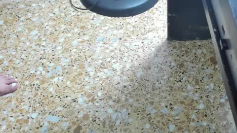 Megan online show from 02.01.25