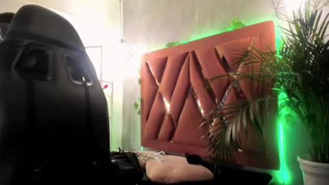 Snapshot of megan_inked_ chatting on 01.10.25 online show from 01.10.25