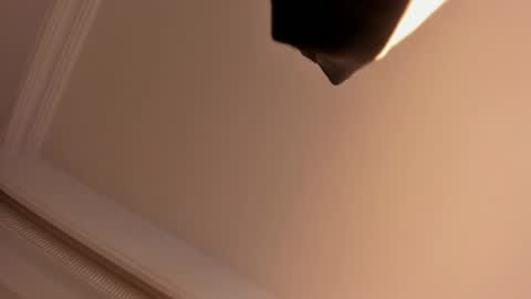     online show from 02.01.25