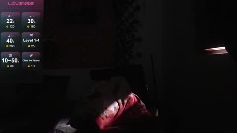 Snapshot of megannixx chatting on 12.30.24 megannixx online show from 12.30.24