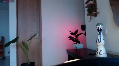 Megganfoxxy 02 online show from 04.28.26