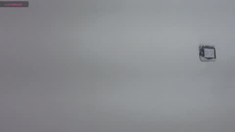 Meghan  online show from 04.21.26