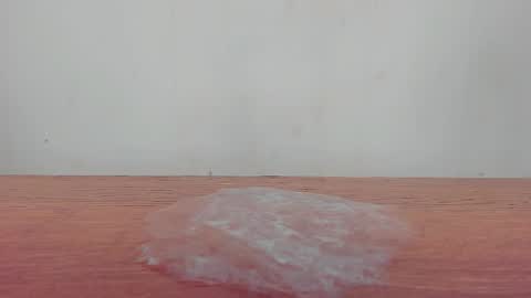 Melania online show from 01.19.26