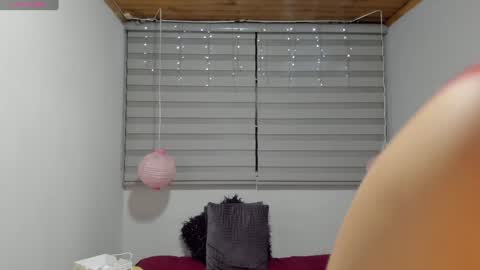 Snapshot of melanie_hh chatting on 01.19.25 Melanie  online show from 01.19.25