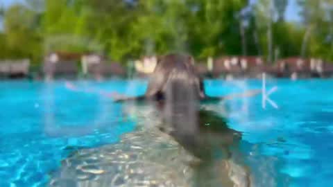 Adel online show from 04.20.26