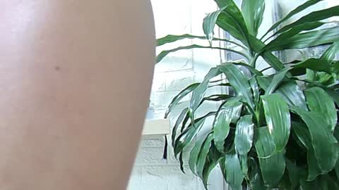 Melissa online show from 01.23.25