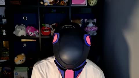 Snapshot of mellpup chatting on 06.17.26 MellPUP online show from 06.17.26