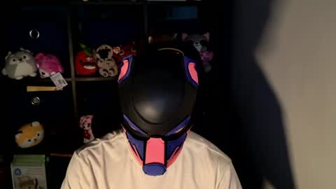 Snapshot of mellpup chatting on 06.18.26 MellPUP online show from 06.18.26