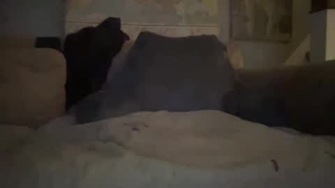 melt13 online show from 01.01.25