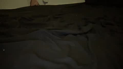 melt13 online show from 11.13.25