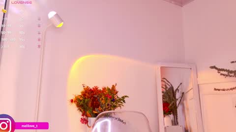 Melissa online show from 01.18.25