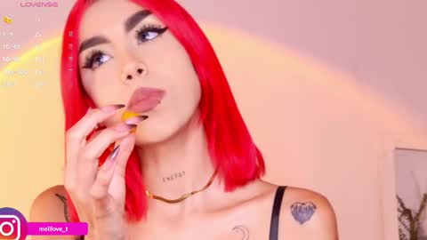 Melissa online show from 01.29.25