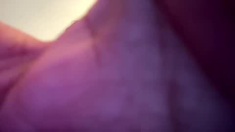 memolesta13 online show from 02.09.25