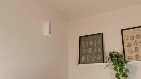  Memphis Williams  online show from 02.17.26