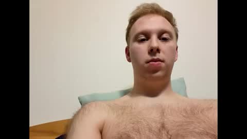 meow732 online show from 10.25.25