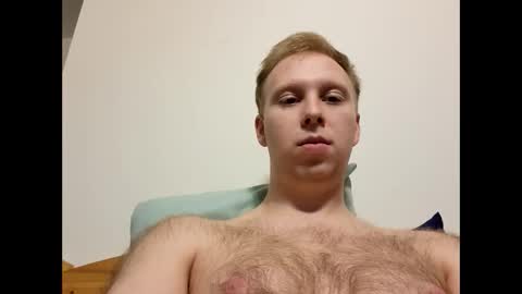 meow732 online show from 10.27.25