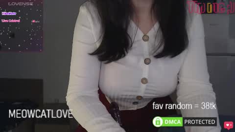 meowcatlove online show from 01.20.25