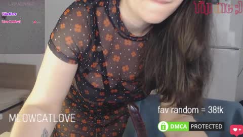 meowcatlove online show from 02.27.25