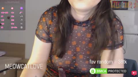 meowcatlove online show from 03.01.25