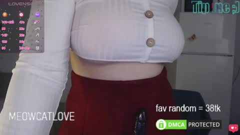 meowcatlove online show from 03.08.25