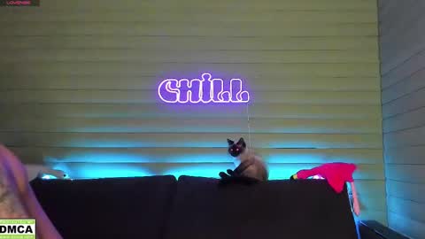 Snapshot of meowluv chatting on 01.11.25  NIKKY  STIVE     Every day from 1000  to 200  EST time. online show from 01.11.25