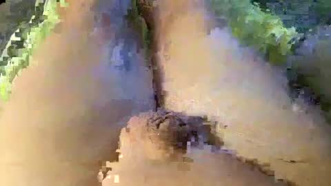 Wade online show from 01.08.25