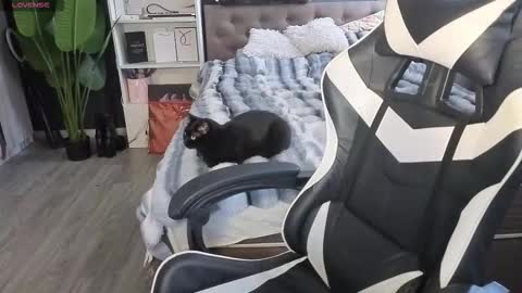 vollmond online show from 02.13.26