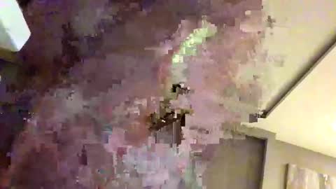 Snapshot of mi45419 chatting on 02.22.26 mi45419 online show from 02.22.26