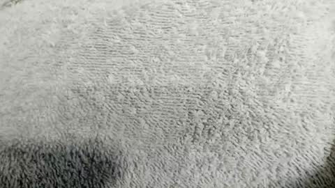 Mia online show from 04.20.26