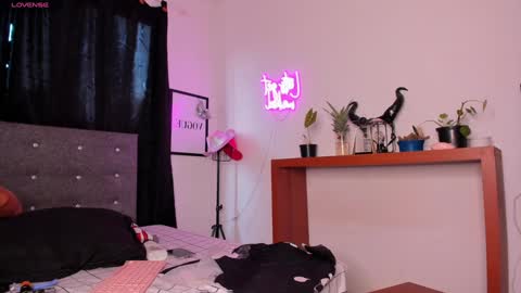 Snapshot of mia_ravenn chatting on 02.01.25 Mia online show from 02.01.25