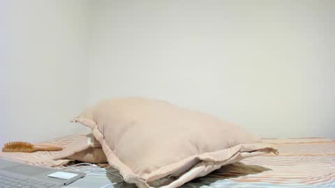 MIA INDEPENDENT MODEL  online show from 10.16.25