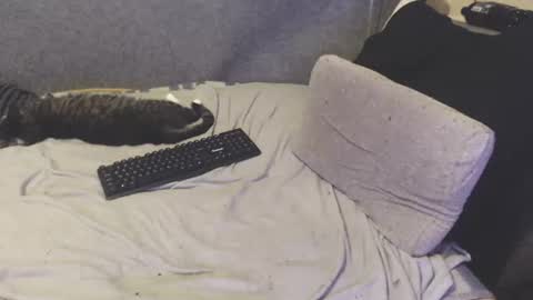 Michael online show from 06.24.26