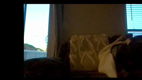 michaelt483 online show from 02.21.26