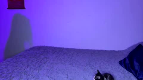 michellepetitte online show from 04.02.26