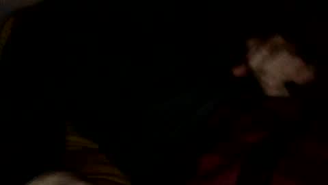 midiin online show from 12.10.24