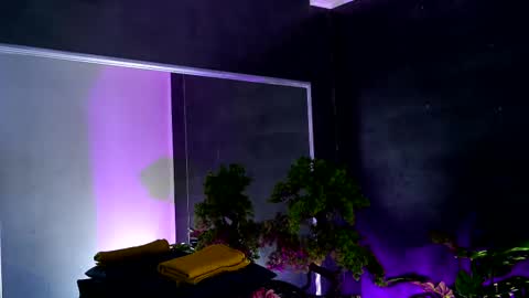 Alice online show from 02.13.25