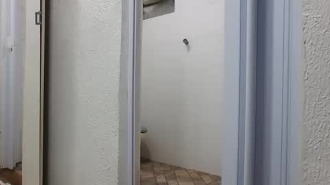 mike11343 online show from 03.06.26