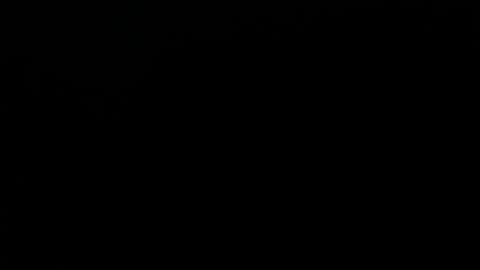 Snapshot of mike_foxxx_ chatting on 12.04.25 MIKE FOXXX online show from 12.04.25