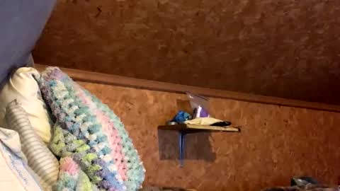 Snapshot of mikeblair5081 chatting on 12.18.25 mikeblair5081 online show from 12.18.25