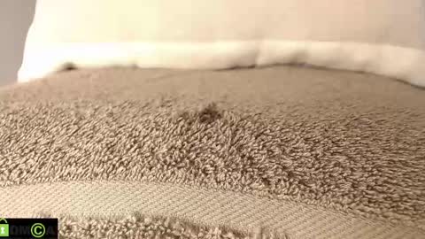 Mikell Williams online show from 03.12.25